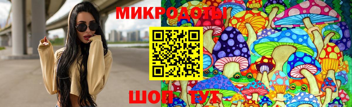 Галлюциногенные грибы Psilocybe Фрязино